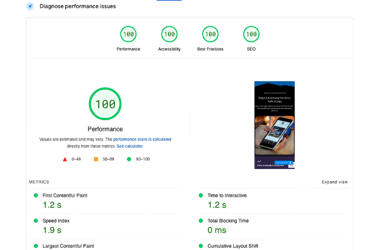 Perfect 100 PageSpeed Insights score